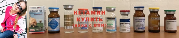 ГАЛЛЮЦИНОГЕННЫЕ ГРИБЫ Вязьма