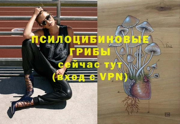 ГАЛЛЮЦИНОГЕННЫЕ ГРИБЫ Вязьма