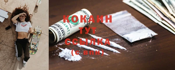ГАЛЛЮЦИНОГЕННЫЕ ГРИБЫ Вязьма
