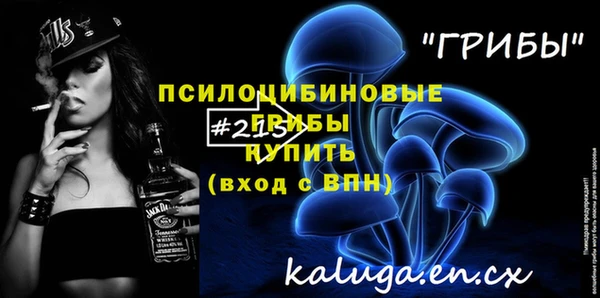 ГАЛЛЮЦИНОГЕННЫЕ ГРИБЫ Вязьма